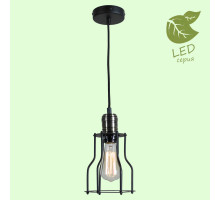 Подвесной светильник Lussole Loft Baldwin GRLSP-9610