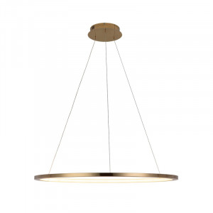 Подвесной светодиодный светильник Loft IT Ring 10014L