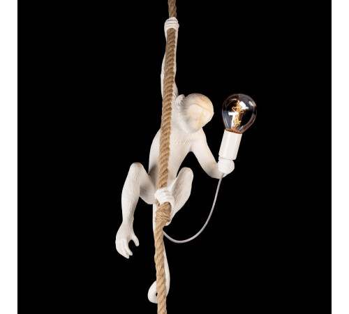 Подвесной светильник Loft IT Monkey 10314P Подвесной светильник Loft IT Monkey 10314P
