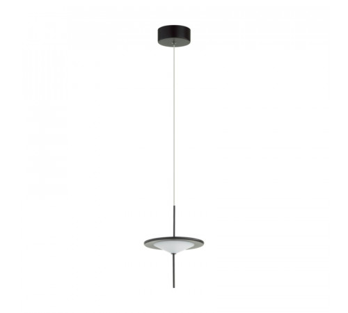 Подвесной светильник Odeon Light Steka 5012/10L Подвесной светильник Odeon Light Steka 5012/10L