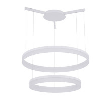 Подвесной светодиодный светильник Arte Lamp A2504SP-2WH