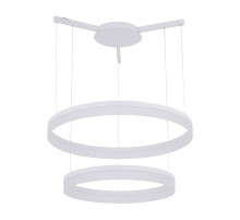 Подвесной светодиодный светильник Arte Lamp A2504SP-2WH