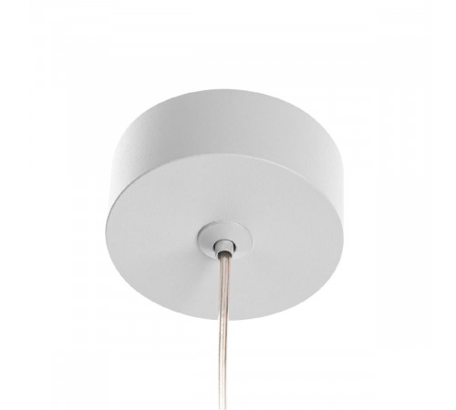 Подвесной светильник Citilux Hardy CL002P10 Подвесной светильник Citilux Hardy CL002P10