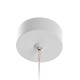 Подвесной светильник Citilux Hardy CL002P10