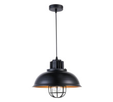 Подвесной светильник Fametto Vintage DLC-V304 E27 Black