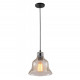 Подвесной светильник Arte Lamp Amiata A4255SP-1AM