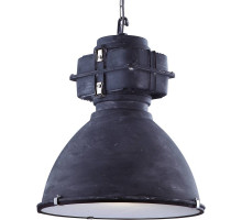 Подвесной светильник Arte Lamp Loft A5014SP-1BG