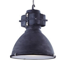Подвесной светильник Arte Lamp Loft A5014SP-1BG