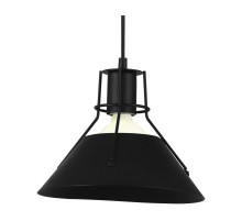 Подвесной светильник Arte Lamp A9347SP-1BK