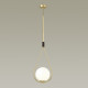 Подвесной светильник Odeon Light FLARI 4810/1A