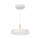Подвесной светильник Arlight SP-ELEGANT-R300-17W Warm3000 (WH, 120 deg, 230V) 033914(1)