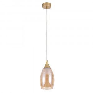 Подвесной светильник Arte Lamp Barry A7951SP-1GO