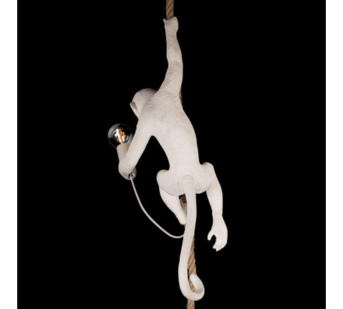 Подвесной светильник Loft IT Monkey 10314P Подвесной светильник Loft IT Monkey 10314P