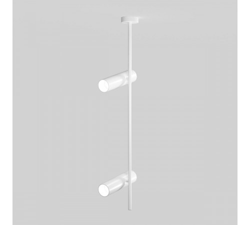 Подвесной светильник Maytoni Elti C021CL-02W Подвесной светильник Maytoni Elti C021CL-02W