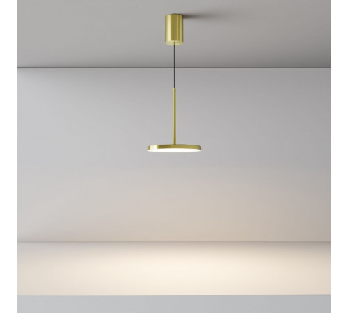 Подвесной светильник Maytoni Plato P076PL-L12W3K-BS Подвесной светильник Maytoni Plato P076PL-L12W3K-BS
