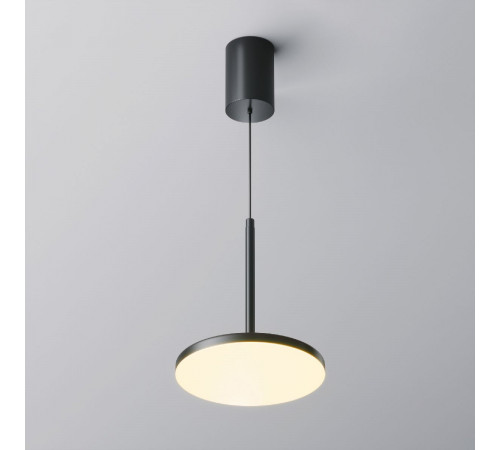 Подвесной светильник Maytoni Plato P076PL-L12W3K-B Подвесной светильник Maytoni Plato P076PL-L12W3K-B