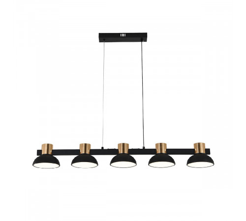 Подвесной светильник Indigo Traforo 11059/5PL Black V000184L Подвесной светильник Indigo Traforo 11059/5PL Black V000184L