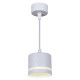 Подвесной светильник Reluce 53002-0.9-001LD GX53 WT