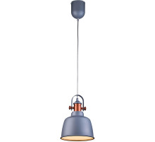 Подвесной светильник Lucia Tucci Industrial 1820.1 Sand Silver