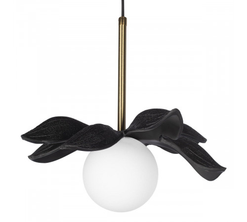 Подвесной светильник Loft IT Monro 10213/A Black Подвесной светильник Loft IT Monro 10213/A Black