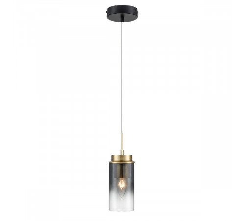 Подвесной светильник Lumion Isha 8101/1A Подвесной светильник Lumion Isha 8101/1A