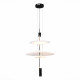 Подвесной светильник ST Luce Isola SL6101.413.01