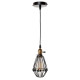 Подвесной светильник LOFT IT Holder Loft2009/1