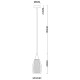 Подвесной светильник Arte Lamp Barry A7951SP-1GO