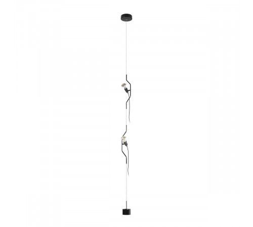 Подвесной светильник Loft IT Parentesi 10346/2 Black Подвесной светильник Loft IT Parentesi 10346/2 Black