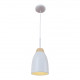 Подвесной светильник LOFT IT Watchman Loft4402A-Wh