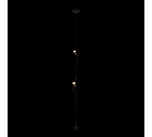 Подвесной светильник Loft IT Parentesi 10346/2 Black Подвесной светильник Loft IT Parentesi 10346/2 Black