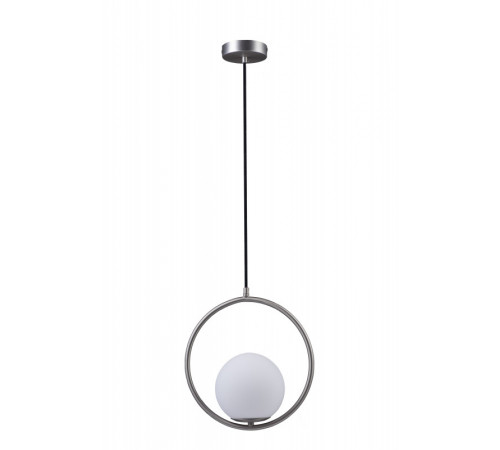 Подвесной светильник Loft IT GLOB LOFT2600-B