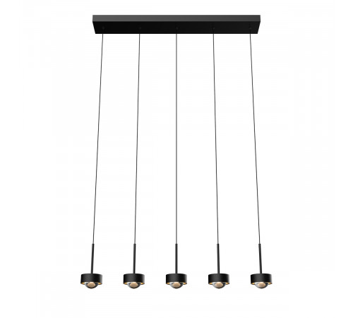 Подвесной светильник Delight Collection MD2826 MD2826-5L black Подвесной светильник Delight Collection MD2826 MD2826-5L black
