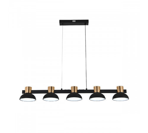 Подвесной светильник Indigo Traforo 11059/5PL Black V000184L Подвесной светильник Indigo Traforo 11059/5PL Black V000184L