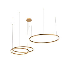 Подвесной светодиодный светильник Loft IT Ring 10017/3M