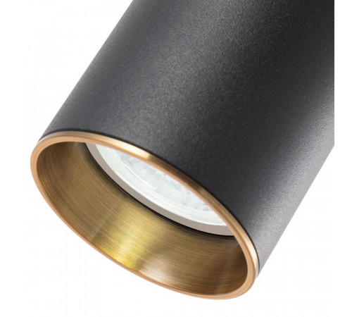 Подвесной светильник Arte Lamp Ran A3162SP-1BK Подвесной светильник Arte Lamp Ran A3162SP-1BK