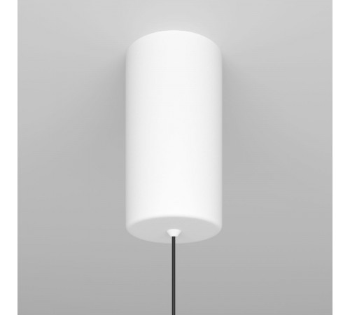 Подвесной светодиодный светильник Maytoni Technical Ray P022PL-L20W3K