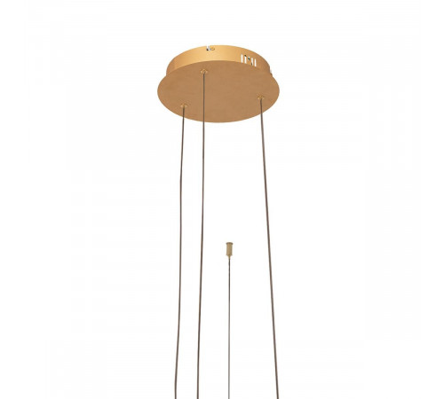 Подвесной светодиодный светильник Loft IT Ring 10017/3L Подвесной светодиодный светильник Loft IT Ring 10017/3L