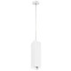 Подвесной светильник Lightstar RULLO RP6396 (216396+590256)