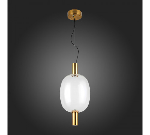 Подвесной светильник ST Luce SL1582.313.01 Подвесной светильник ST Luce SL1582.313.01