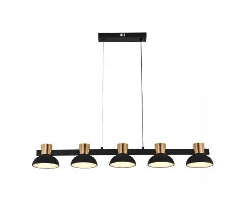 Подвесной светильник Indigo Traforo 11059/5PL Black V000184L Подвесной светильник Indigo Traforo 11059/5PL Black V000184L