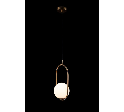 Подвесной светильник Loft IT Glob LOFT2595-A Подвесной светильник Loft IT Glob LOFT2595-A