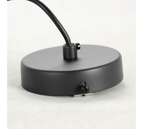 Подвесной светильник Lussole Loft LSP-8498 Подвесной светильник Lussole Loft LSP-8498