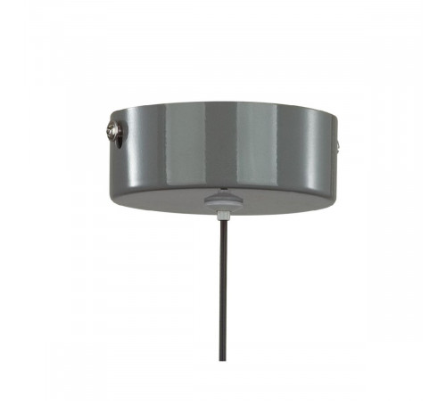 Подвесной светильник Lumion Globe 6569/6L