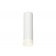 Подвесной светильник Ambrella Light Techno Spot XP8191002 (A2331, C8191, N8401)