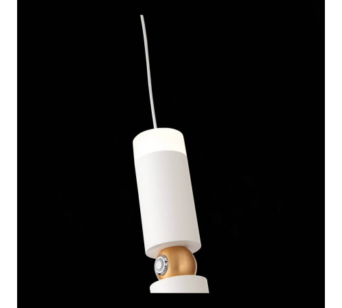 Подвесной светильник ST-Luce SL1592.503.01