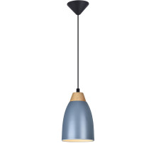 Подвесной светильник Toplight Leah TL0724H-2N