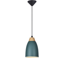 Подвесной светильник Toplight Leah TL0724H-2G