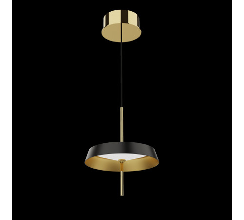 Подвесной светильник DeLight Collection MD18001061-1A  black/gold