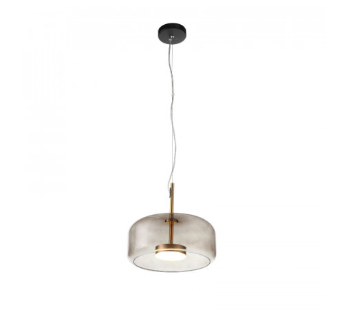 Подвесной светильник ST-Luce SL1053.243.01 Подвесной светильник ST-Luce SL1053.243.01